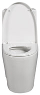 One-piece 1.1/1.6 GPF Dual Flush Elongated Toilet with Soft-Close Seat