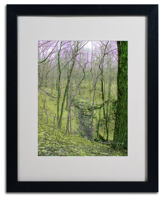 'Surreal Woods' Matted Framed Canvas Art by Kathie McCurdy