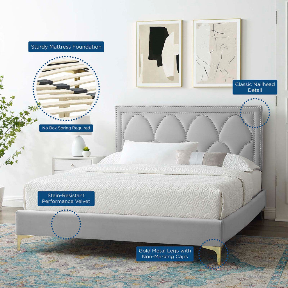 Platform Bed Frame, Nailhead, Queen Size, Gray, Velvet, Modern