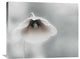 "Ephemeral Beauty" Stretched Canvas Giclee by Piet Flour, 30"x24"