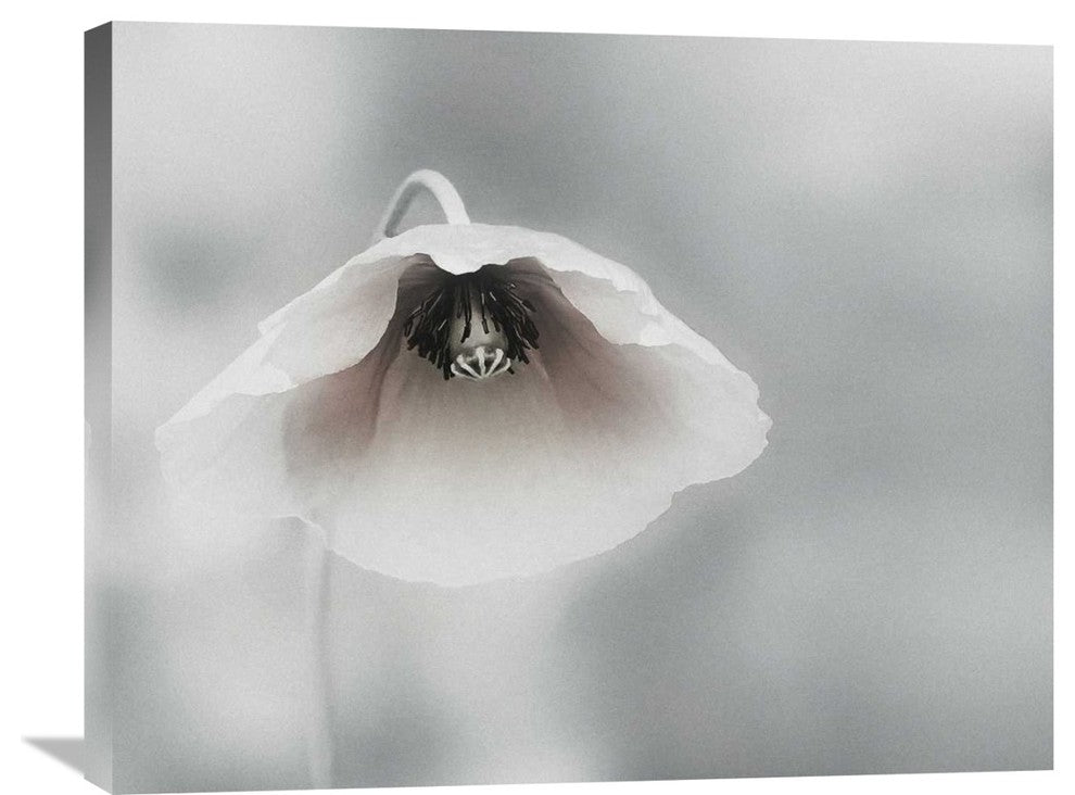 "Ephemeral Beauty" Stretched Canvas Giclee by Piet Flour, 30"x24"