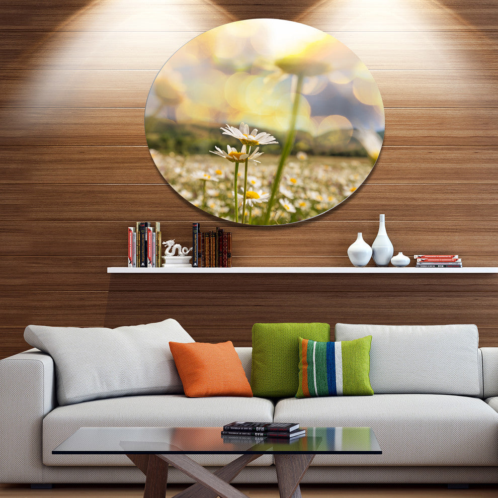 Amazing Chamomile Flower Field, Floral Round Metal Wall Art, 11"
