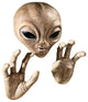 Roswell The Alien Plaque