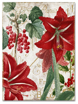 Color Bakery 'Amaryllis' Canvas Art, 18x24