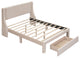 Gewnee Full Size Storage Bed Velvet Upholstered Platform Bed