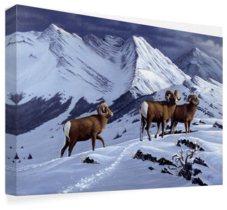 Wilhelm Goebel 'High Country Rams' Canvas Art, 24"x16"