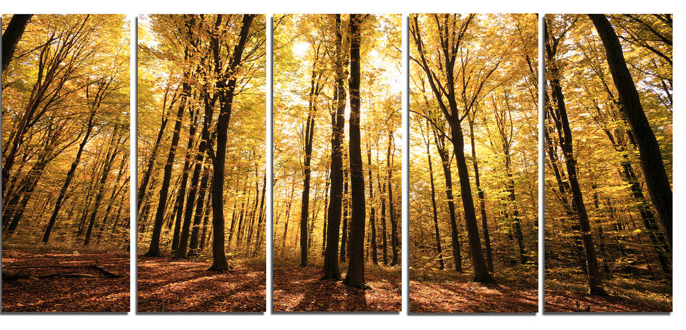 Setting Sun over Dense Fall Forest, Modern Forest Canvas Art, 60"x28", 5 Panels