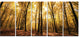 Setting Sun over Dense Fall Forest, Modern Forest Canvas Art, 60"x28", 5 Panels