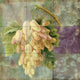 Tile Mural Kitchen Backsplash Vin Margeaux I-CB by Color Bakery