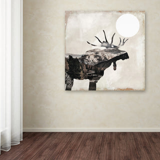 Color Bakery 'Going Wild V' Canvas Art, 24x24