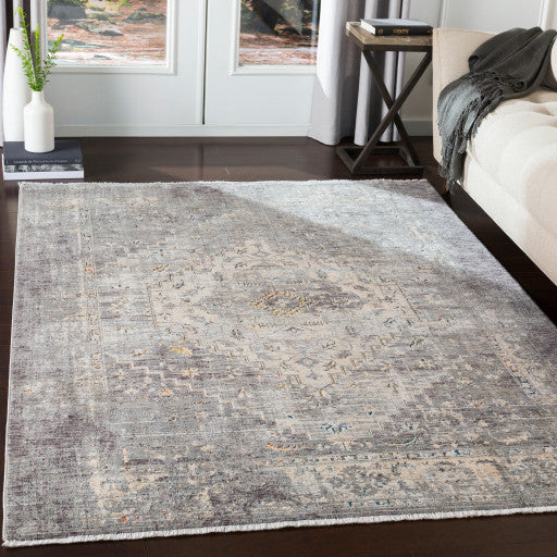 Surya Presidential PDT-2311 3'3"x5' Rug, Gray/Ivory/Butter/Pale Blue/Blue/Lime