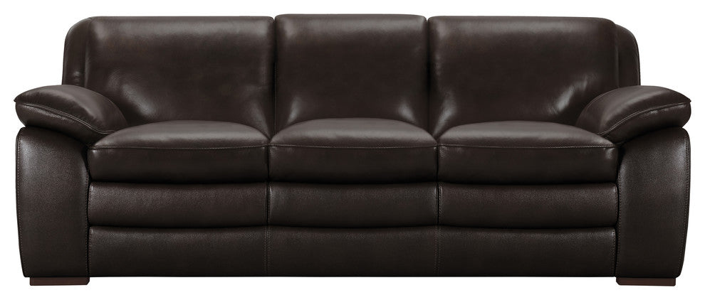 Zanna Modern Hardwood and Dark Brown Leather Sofa