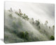 "Mystical Foggy Mountain Slope" Canvas Print