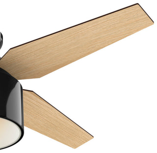 Hunter Fan Company 52" Cranbrook Low Gloss Black Ceiling Fan w/ Light/Remote