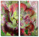 Painted Petals LVI 2-Piece Canvas Art Set, 40"x20"