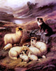 John Barker Guarding his Flock, 21"x28" Gallery Wrapped Canvas Print