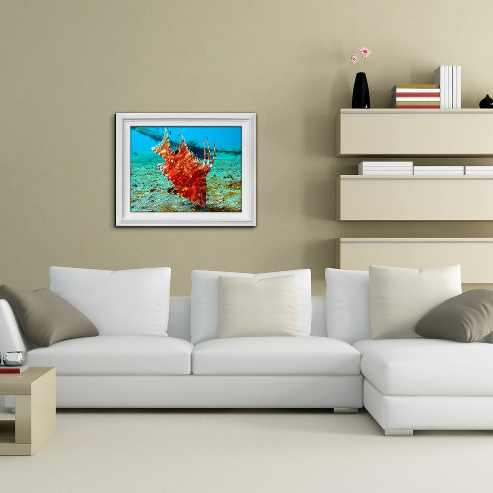 Ready2hangart Christopher Doherty Photography 'Sea Life' Canvas Wall Art