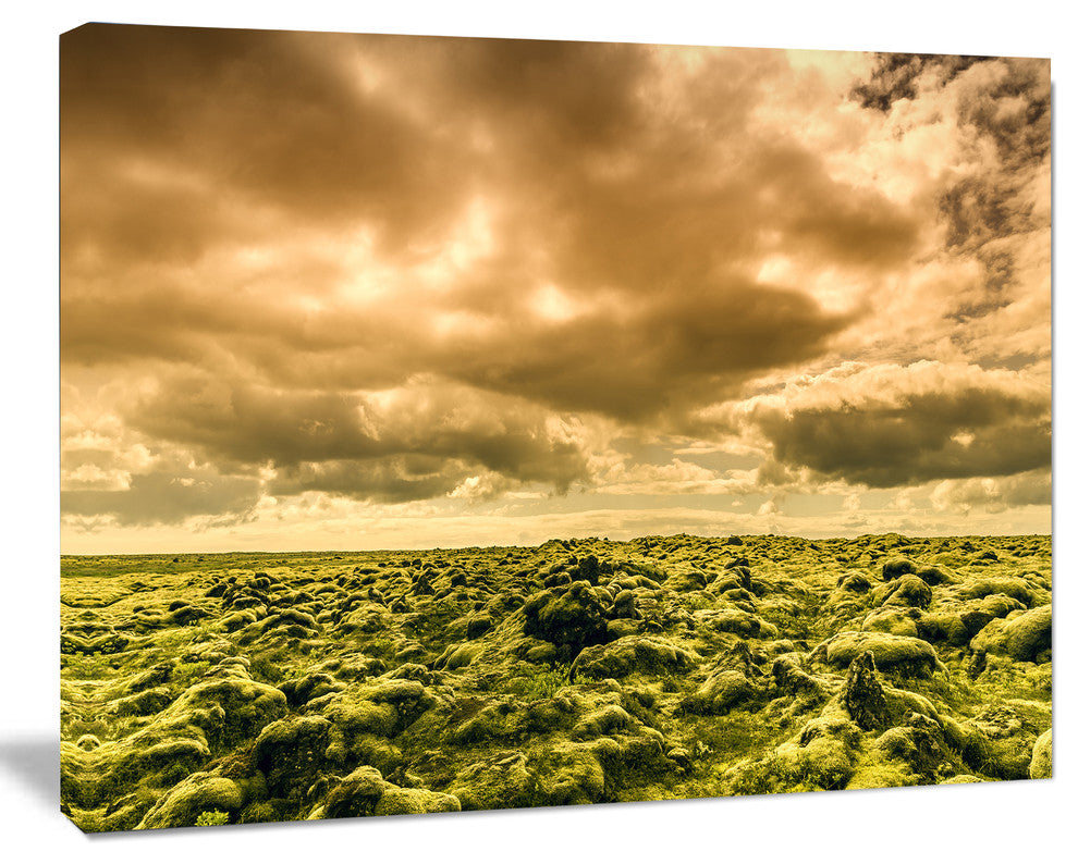 Beautiful View of Sky and Moss, Large Landscape Canvas Art, 20"x12"