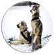 Sled Dogs Relaxing, Animal Large Disc Metal Wall Art, 23"