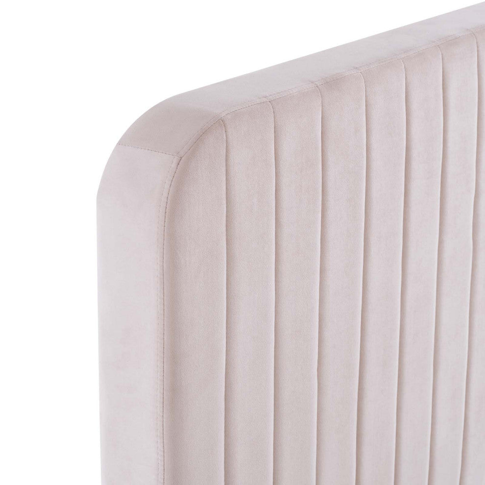 Tufted Platform Bed Frame, Full Size, Velvet, Pink, Modern Contemporary, Bedroom