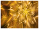 Exotic Dance of Golden Flower Petals, Floral Canvas Art Print, 40"x30"