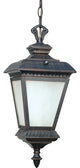 Nuvo Lighting Charter Hanging Old Penny Bronze Lantern