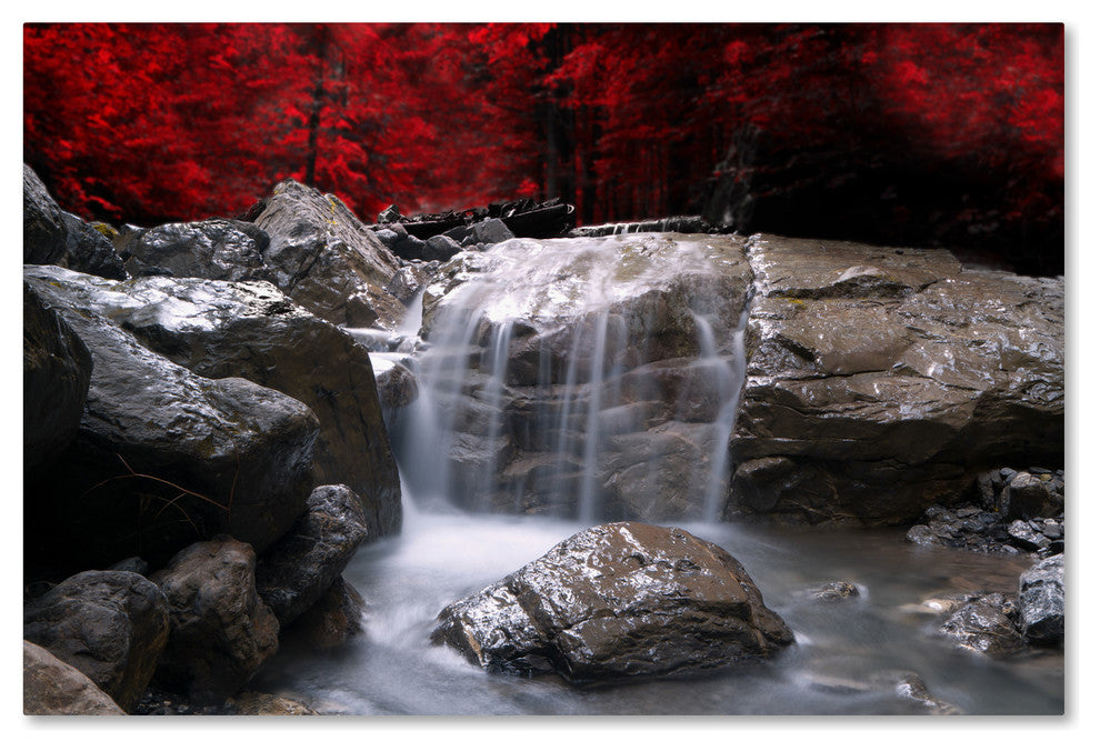 'Red Vision' Canvas Art by Philippe Sainte-Laudy