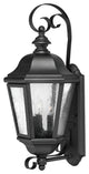Hinkley Edgewater Medium Wall Mount Lantern, Black