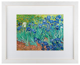 "Irises 1889" by Vincent van Gogh, Matted Framed Art, 11"x14"