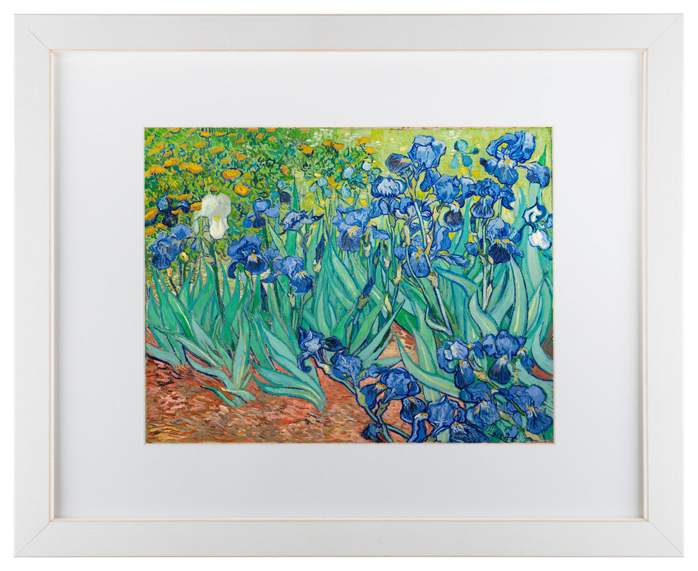 "Irises 1889" by Vincent van Gogh, Matted Framed Art, 11"x14"