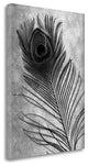 "Feathers - 10" By Alan Blaustein, Giclee Print on Gallery Wrap Canvas
