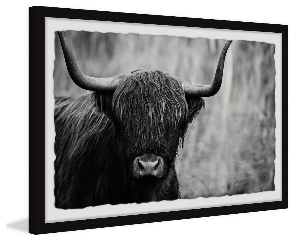 "Angus the Highland Cow" Framed Painting Print, 18x12
