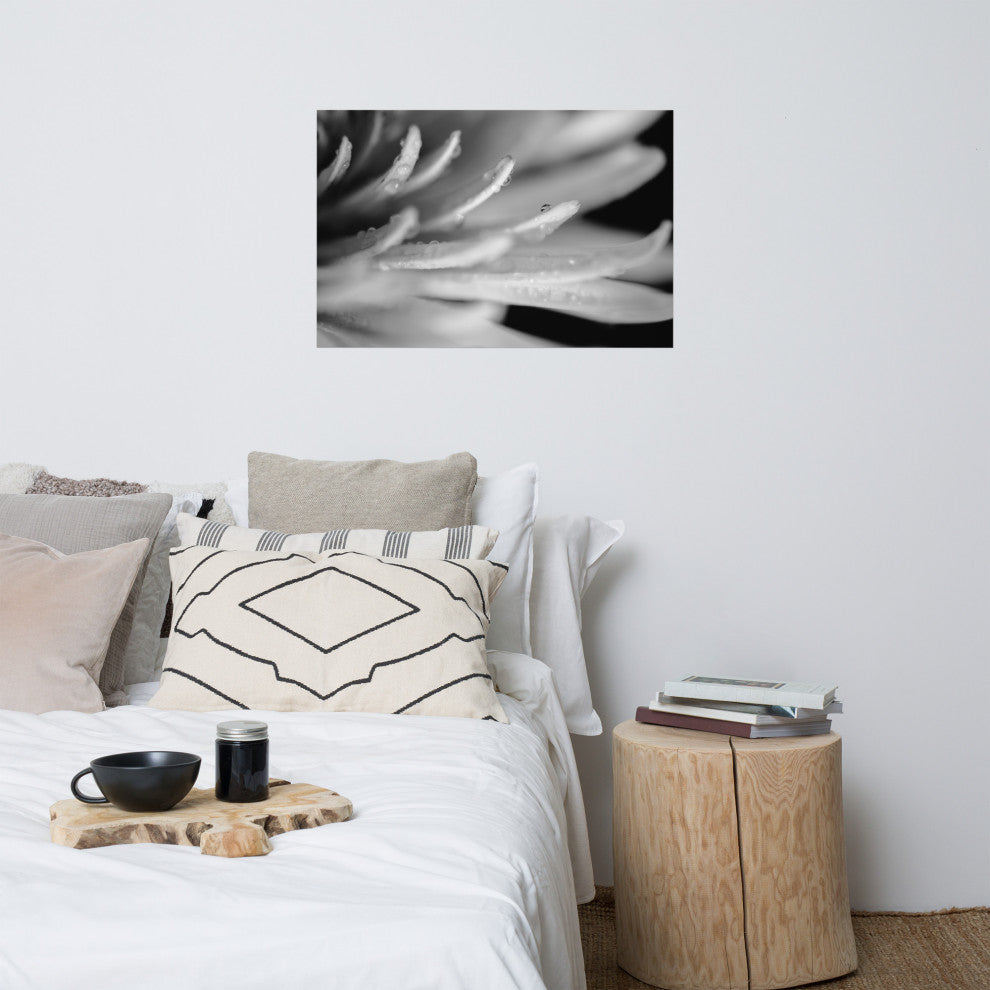 Droplets on Petals Black & White Floral Photo Unframed Wall Art Print, 24" X 36"