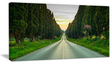"Straight Road Through Cypress Trees" Landscape Wall Art, 40"x20"