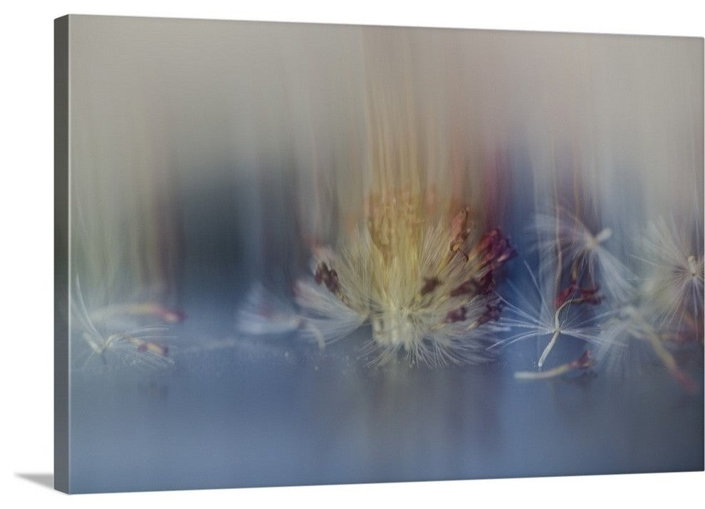 "Watercolour Waltz" Wrapped Canvas Art Print, 36"x24"x1.5"