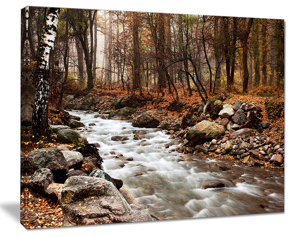 "Stream in Autumn Forest" Landscape Photography Canvas Print, 40"x30"