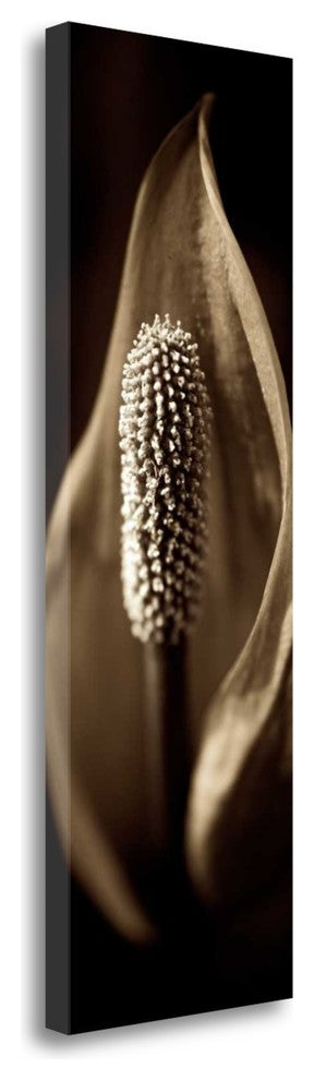 "Florison - 95" By Alan Blaustein, Giclee Print on Gallery Wrap Canvas