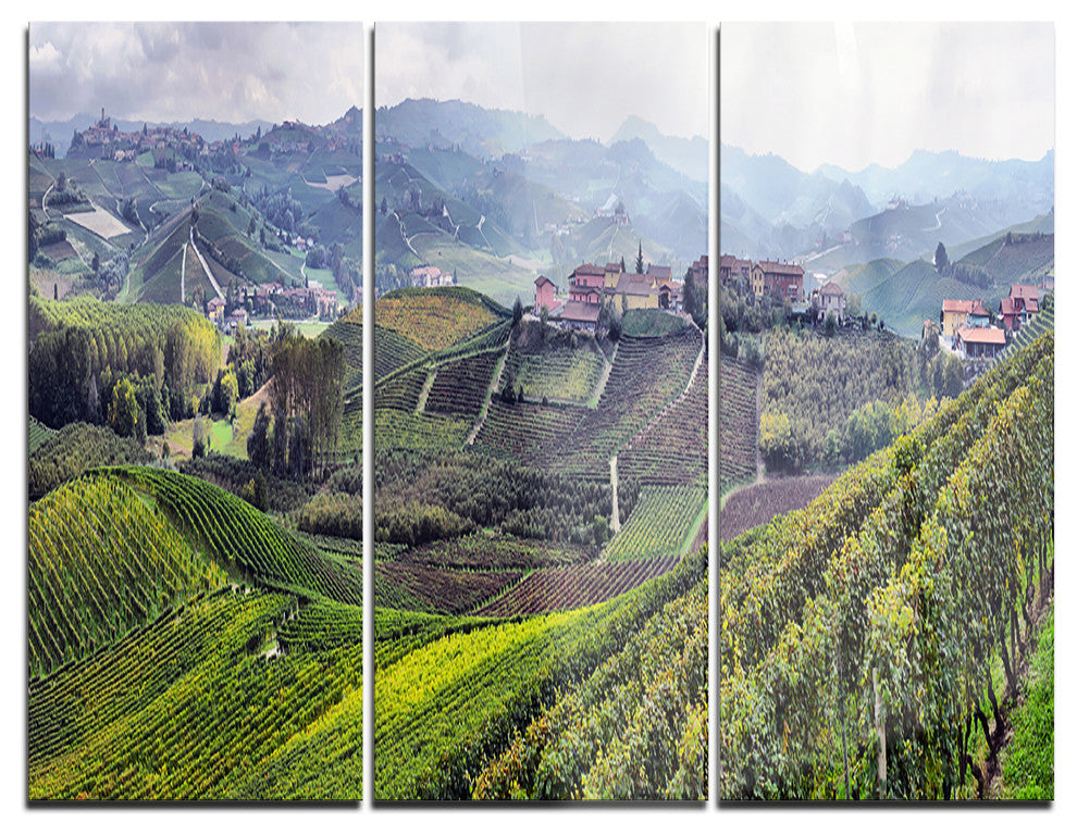 "Vineyards in Italy Panoramic" Photo Metal Wall Art, 3 Panels, 36"x28"