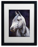 Jenny Newland 'White Arabian Stallion' Matted Framed Art, 20x16