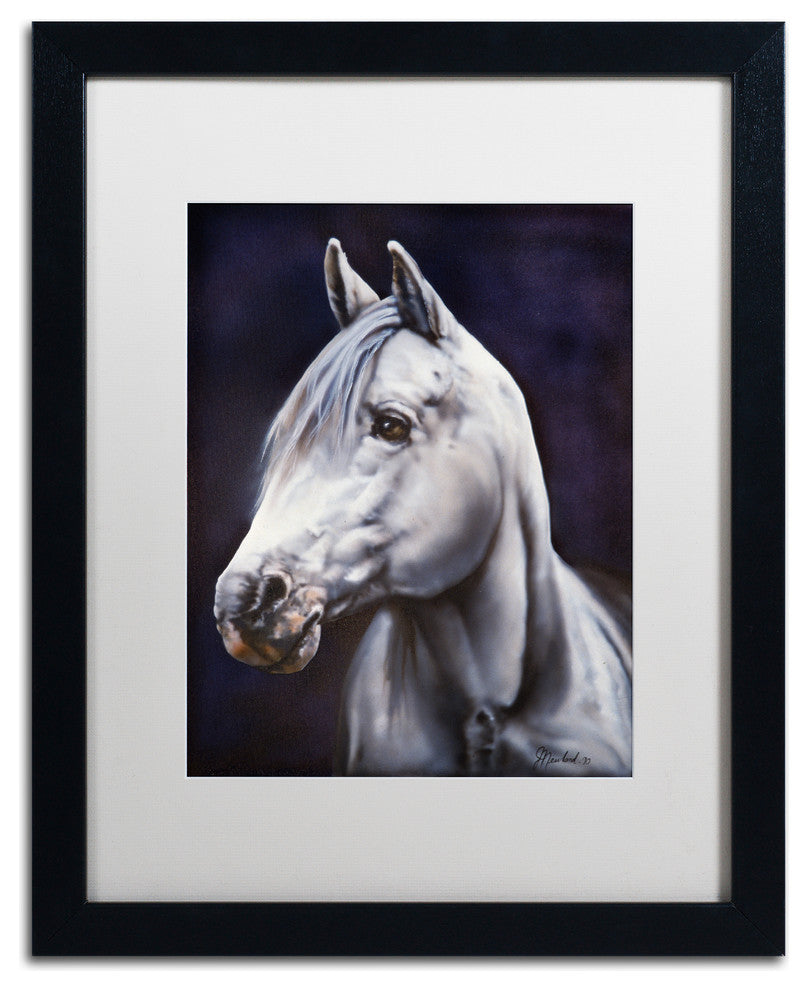 Jenny Newland 'White Arabian Stallion' Matted Framed Art, 20x16