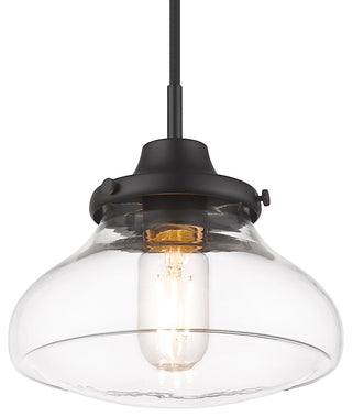 Nash Small Pendant With Clear Glass Shade