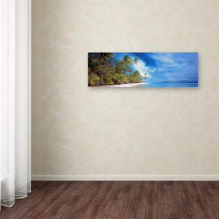 Doug Cavanah 'Palm Landscape' Canvas Art, 16x47