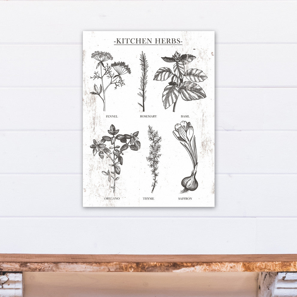Six Distressed Kitchen Herbs 18"x24" Print on Canvas