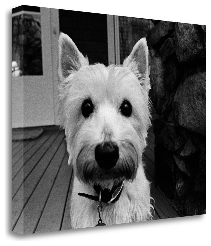 "Rosie" By Kim Levin, Giclee Print on Gallery Wrap Canvas, Ready to Hang