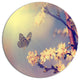 Vintage Butterfly And Cherry Tree, Modern Flower Round Wall Art, 11"