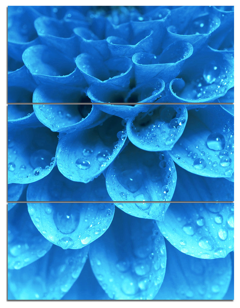 Large Light Blue Flower and Petals, Floral Triptych Canvas Art, 28x36, 3 Panels