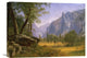 "Yosemite Valley" Artwork, 22" x 15"