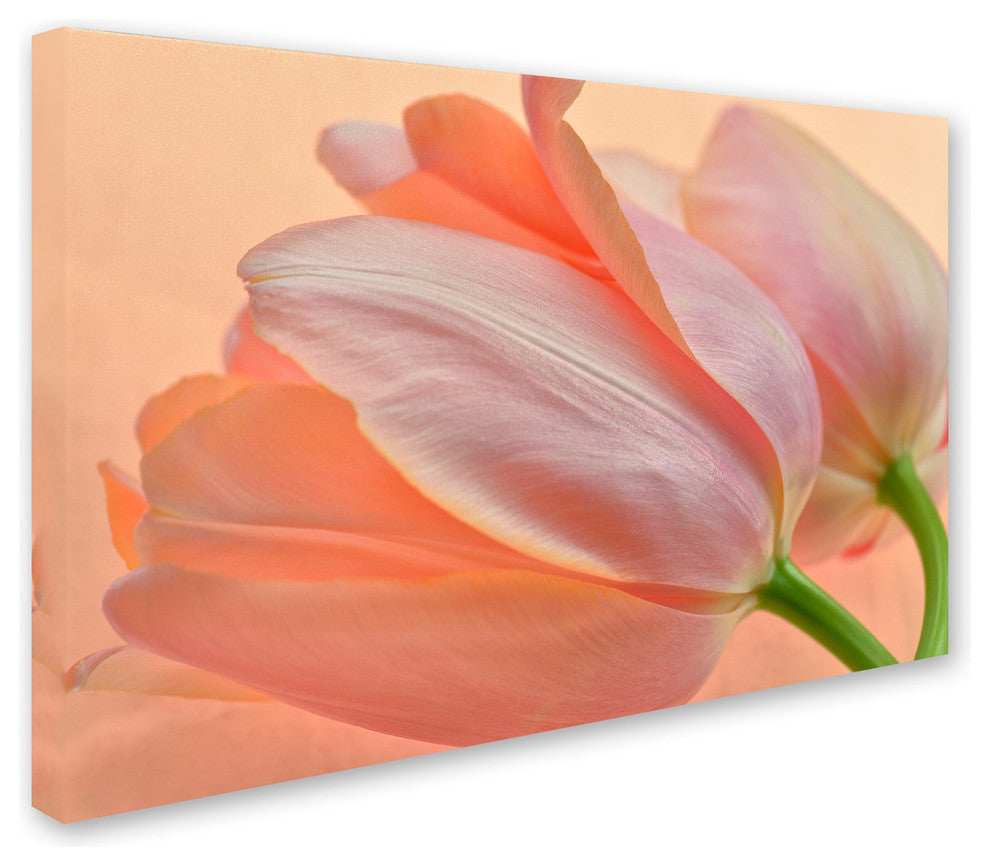 Cora Niele ''Two Orange Tulips'' Canvas Art