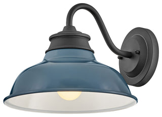 Hinkley Wallace Small Gooseneck Barn Light, Museum Black