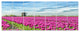 Traditional Holland Countryside, Landscape Canvas Art Print, 83"x32", 7 Panels